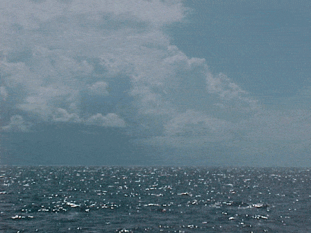 An ocean