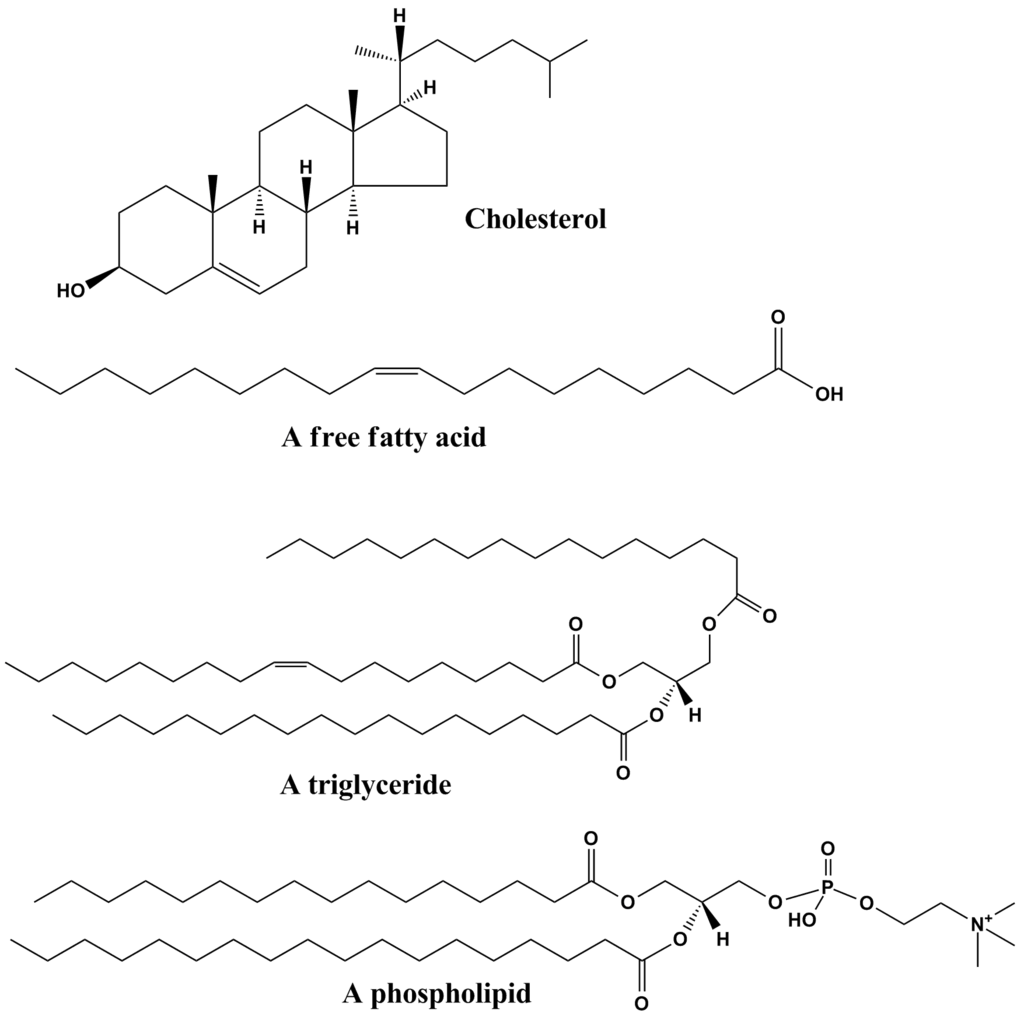 A diagram showing the structures of cholesterol, a free fatty acid, triglyceride, and a phospholipid.