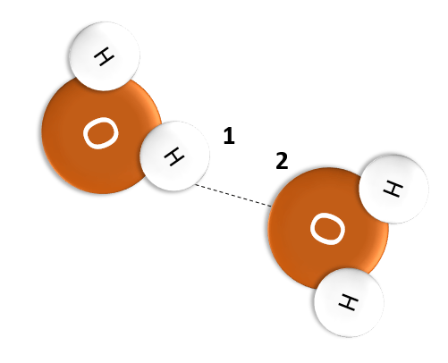 Two water molecules hydrogen bonding. The hydrogen of one is labeled 1 and the oxygen of the other is labeled 2.