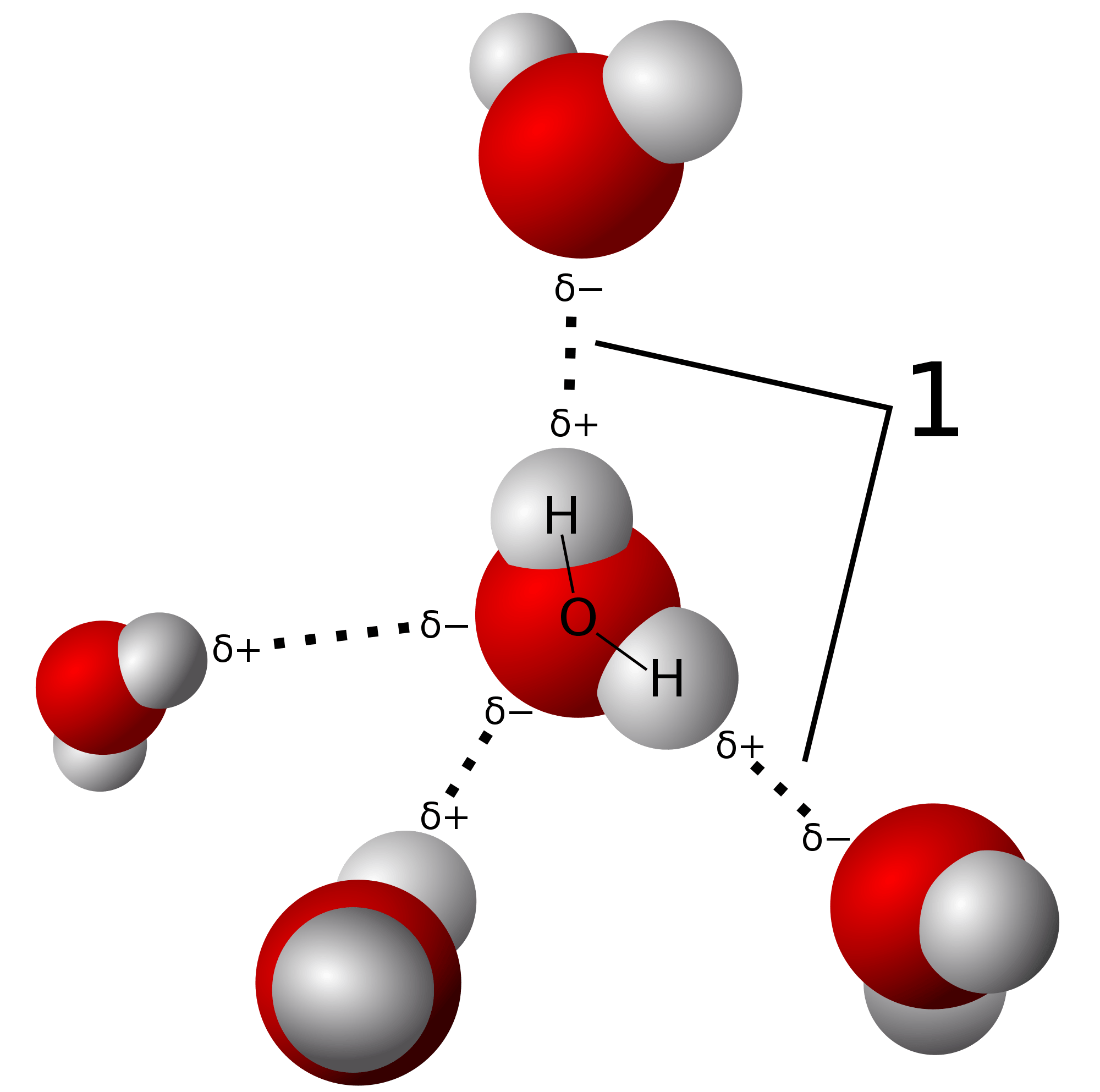 Hydrogen bonding in water.