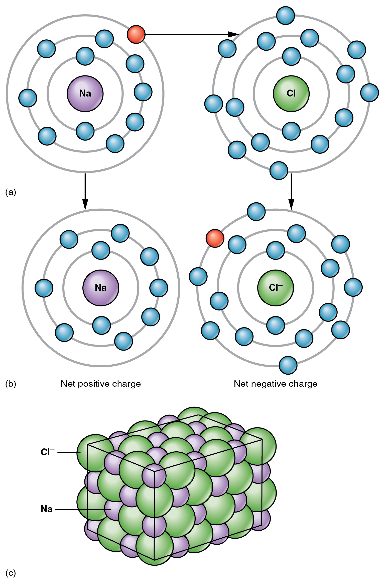 Sodium chloride formation