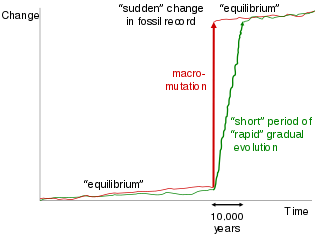 A graphs showing equilibrium and then a spike labeled sudden change in fossil record.
