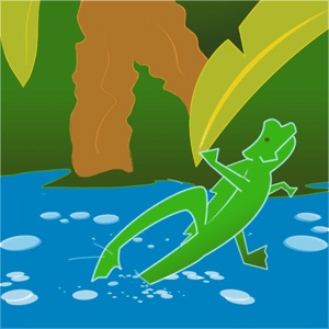 A basilisk lizard.