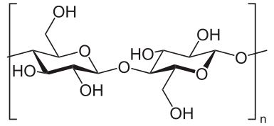 The monomer of cellulose is shown inside of brackets. There is a small n on the lower right-hand side of the brackets.
