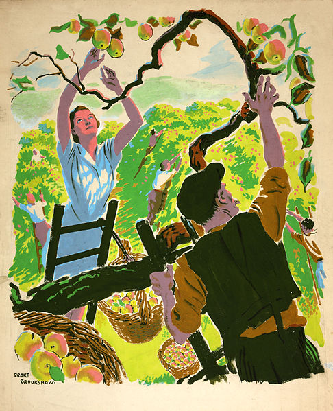 People picking apples.