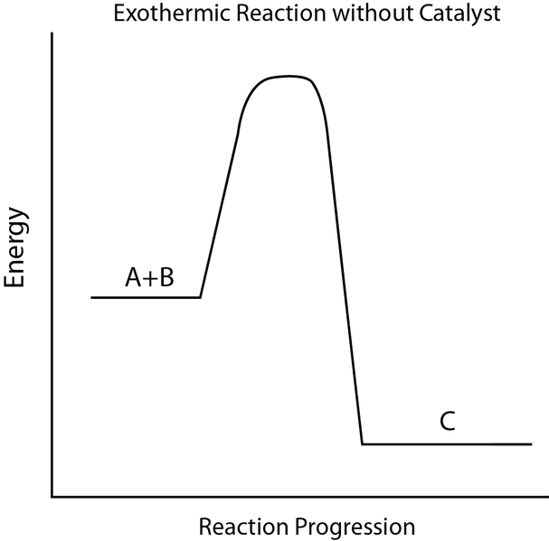 A reaction energy diagram wherein the reactants are at a lower energy than the activation energy, but a higher energy than the products.