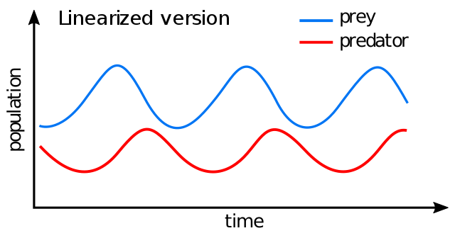 A plot of a predator-prey relationship.  When prey populations increase, so do the predators.  When the prey populaton decreases, the predators immediately follow. 