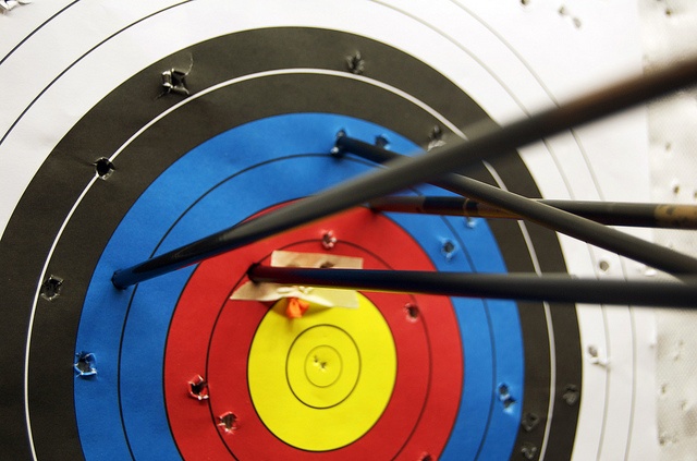 An archery target.