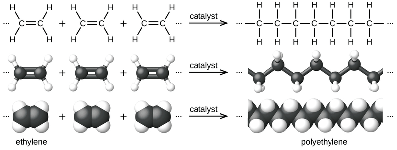 The formation of ethene does not involve the loss of a water molecule. It does not form a macromolecule.
