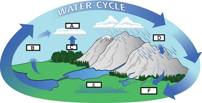 A picture of the water cycle.