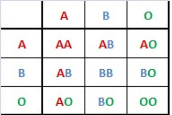 Punnett square of the different crosses of the blood type alleles A, B, and O. A and B are both dominant, and O is recessive. The resulting blood types are AA (A type) AB (AB type) AO (A type) AB (AB type) BB (B type) BO (B type) AO (A type) BO (B type) and OO (O type).