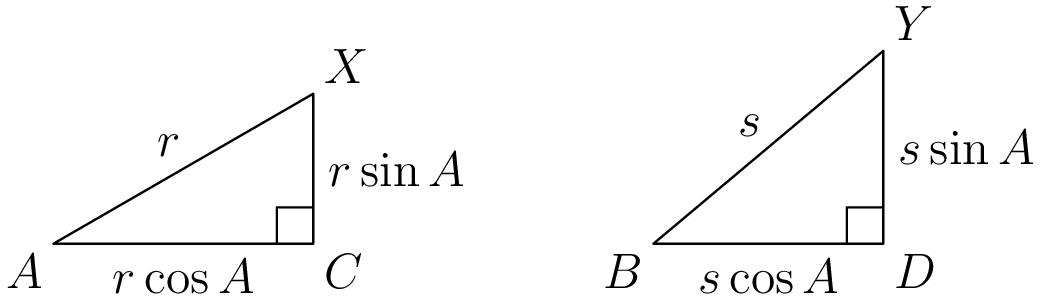 Triangle ACX with hypotenuse labeled with r, short side labeled with r sin A, and long side labeled with r cos A
Triangle BDY with hypothenuse labeled with s, short side labeled with s sin A, and long side labeled with s cos A