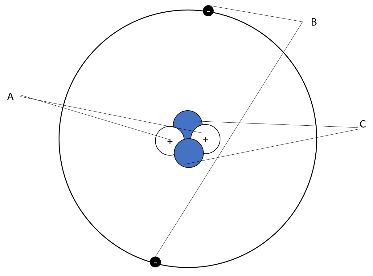 A: positive areas in nucleus
B: negative areas outside nucleus
C: neutral areas in nucleus