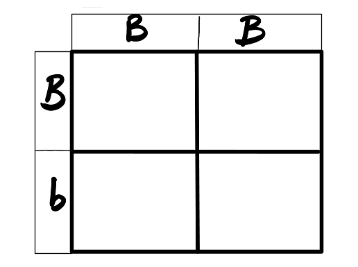 This is a skeleton of a punnett square for the cross between a homozygous dominant parent and a heterozygous parent.
