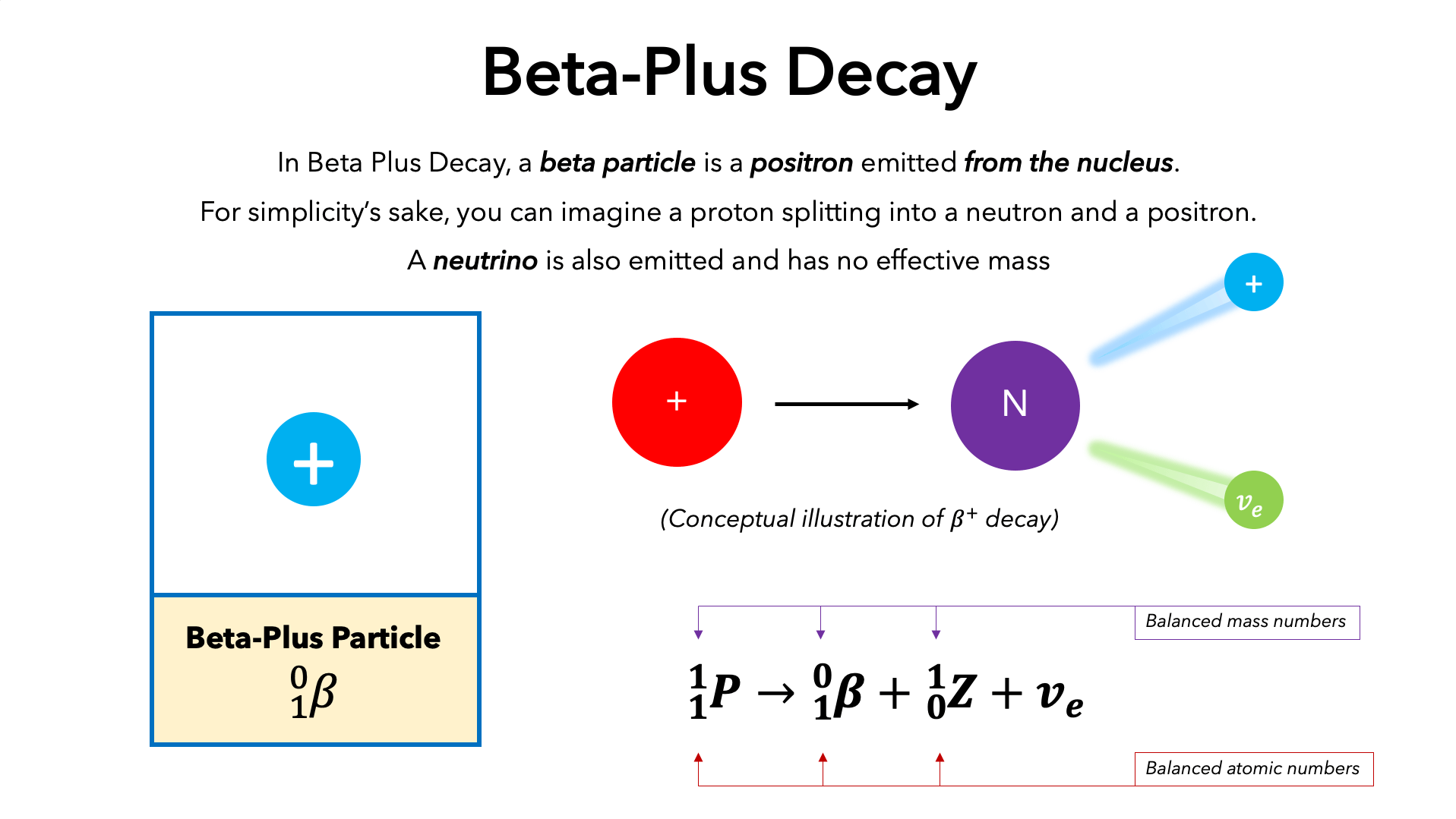 Neutron Beta Decay Neutron Beta Decay