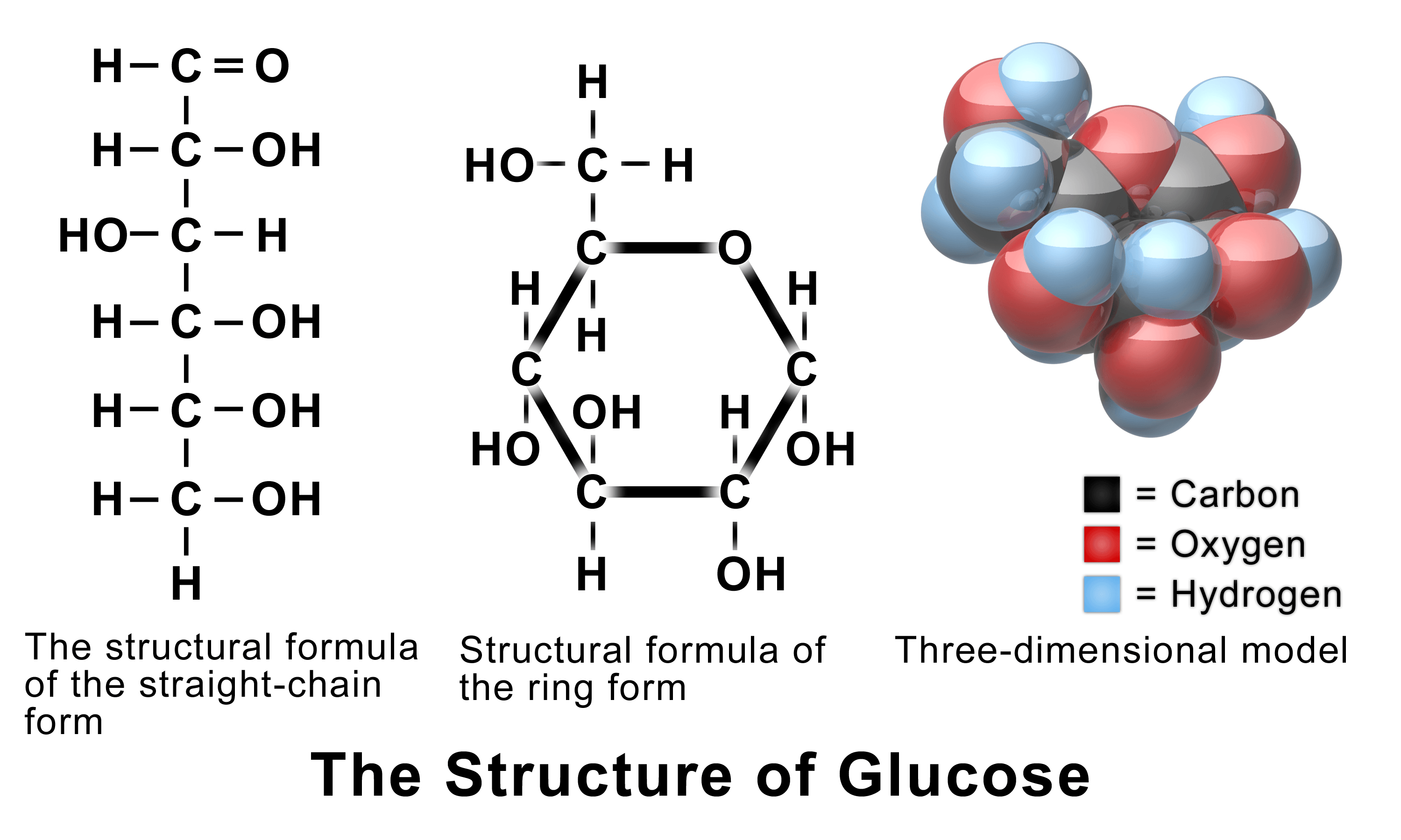 Carbon Role And Importance To Life Expii