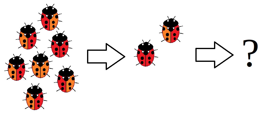 The image shows changes in a population of ladybugs. Ladybugs can have orange, orange and red, or red wings. In the first group, the population is large and there are equal amounts of red and orange wings. In the second group, the population is much smaller, and most of the wings are red. The third group contains only a question mark.