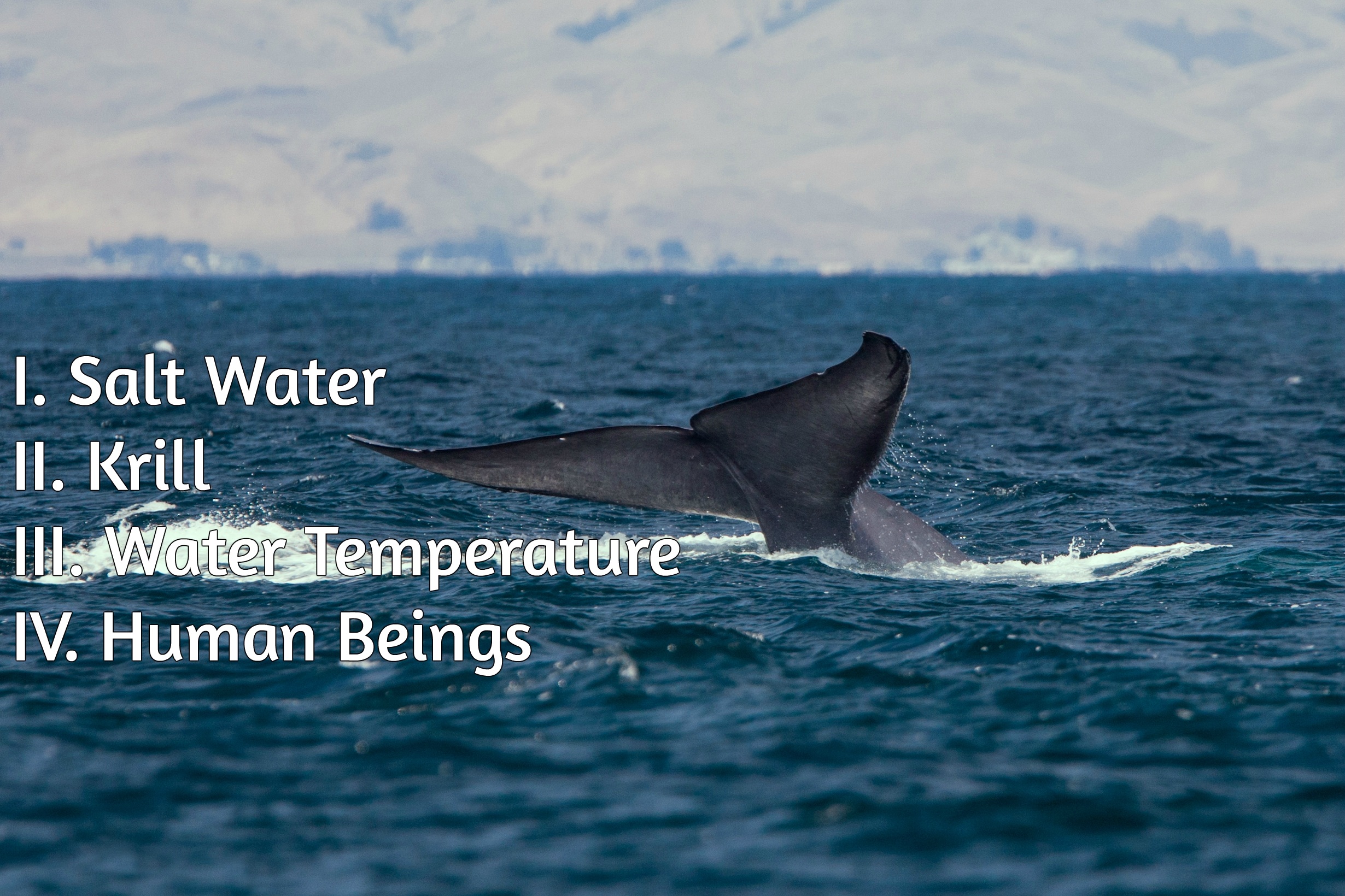 1. Salt water, 2: krill, 3: water temperature, 4: human beings. 