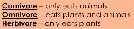 Carnivores eat only animals, while omnivores eat both plants and animals. Herbivores eat only plants.