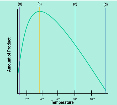 The graph shows how much product is made during a reaction when it's carried out at different temperatures. The amount of product increases from a to b. Then, the amount of product decreases to c and finally d.