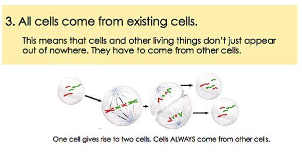 All cells come from existing cells. This means that cells and other living things don't just appear out of nowhere. They have to come from other cells.