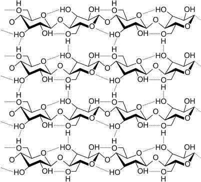 Cellulose is made of many monomers.