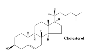 Cholesterol Chemical Structure