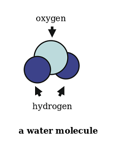 The structure of a water molecule