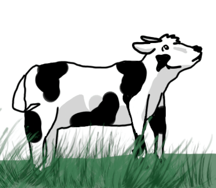 The image shows a cow in a grassy field looking at the sky.