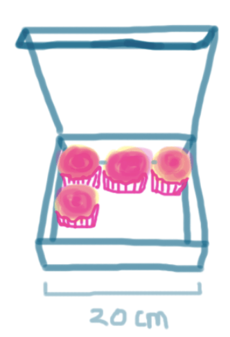 A box of cupcakes with width 20 cm