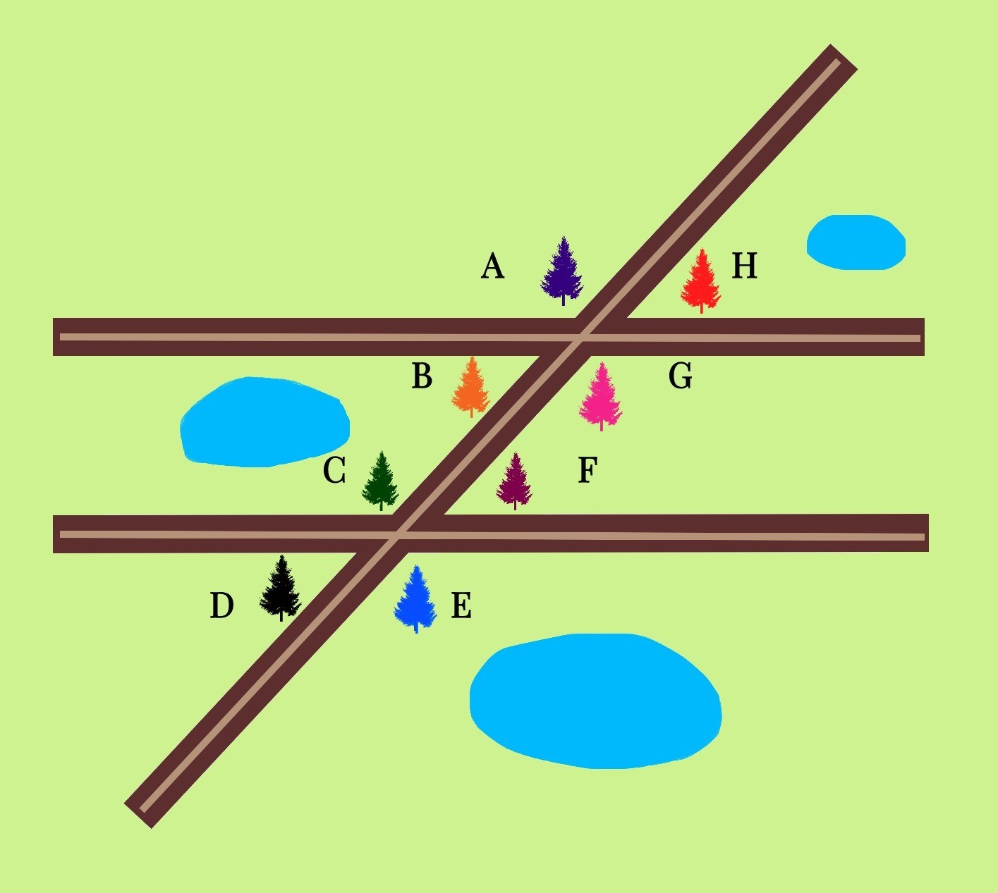Two horizontal parallel lines with a transversal intersecting them. There is a tree next to each of the angles formed by these lines. The trees on the left side of the transversal (from top to bottom): Tree A, Tree B, Tree C, Tree D. The trees on the left side of the transversal (from top to bottom): Tree H, Tree G, Tree F, Tree E. Created on Sketch.IO.