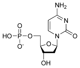 5 carbon sugar, a phosphate group, and a base