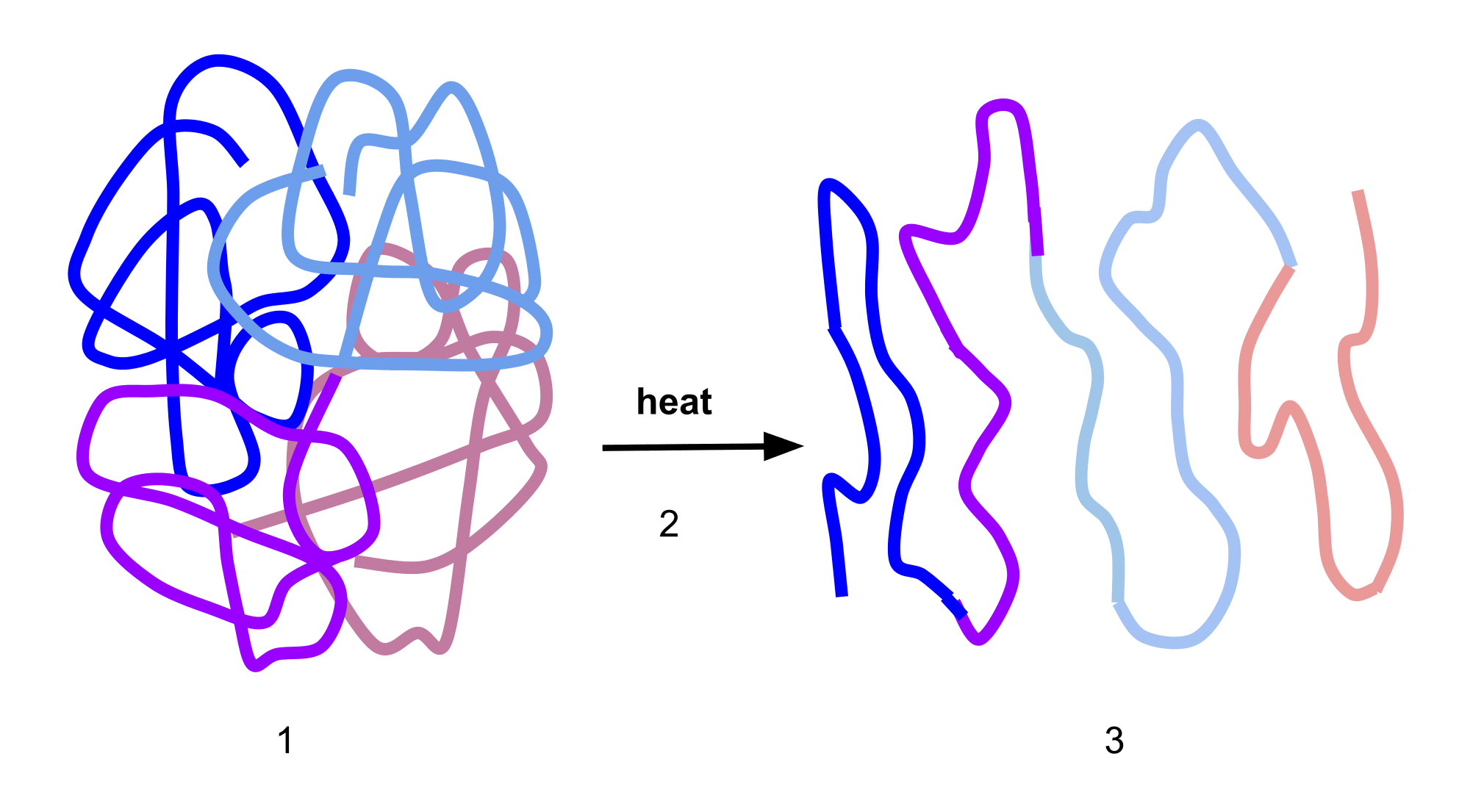 Proteins fall apart when heated. 