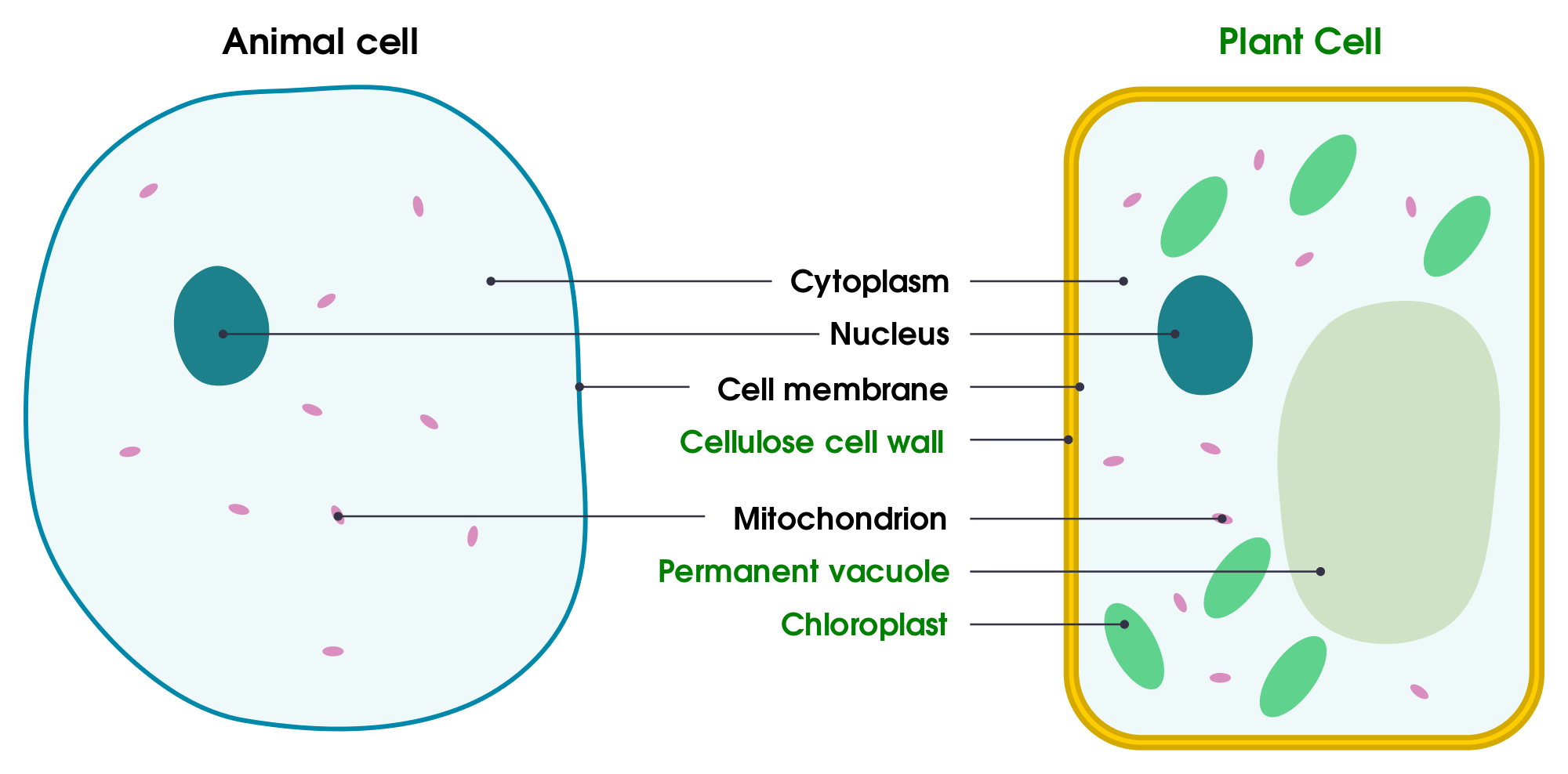 Article Cell