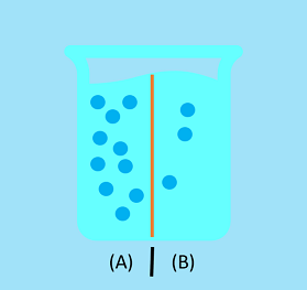 A beaker with a permeable membrane is shown. One the side labeled A, there are 10 blue particles. On the side labeled B, there are three blue particles.