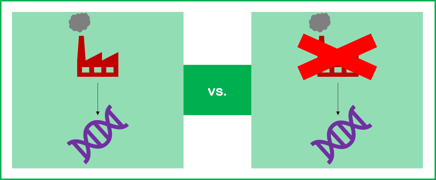 Side by side pictures of factories and DNA. One has an arrow pointing from the factory to the DNA, while the other has a large red X over the factory.