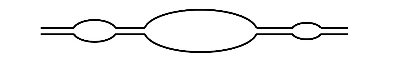 A linear strand of DNA has three areas of replication. 