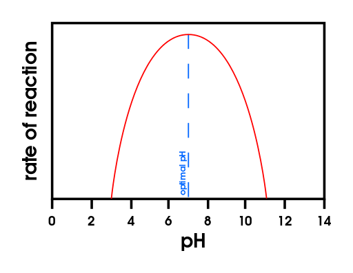 Different enzymes work at different pH levels.  The pH at which the rate of reaction is the highest is called the optimum pH. 
