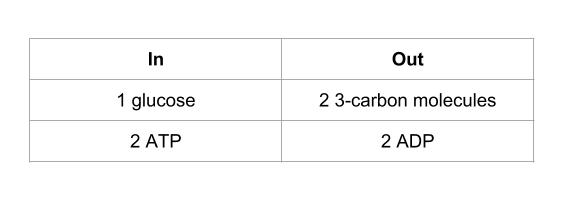 In-out table of a step of glycolysis.
