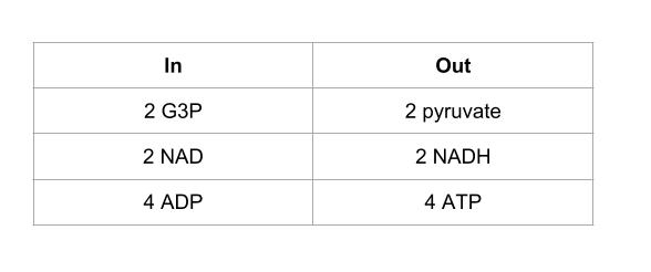 In-out table of molecules in a phase of glycolysis
