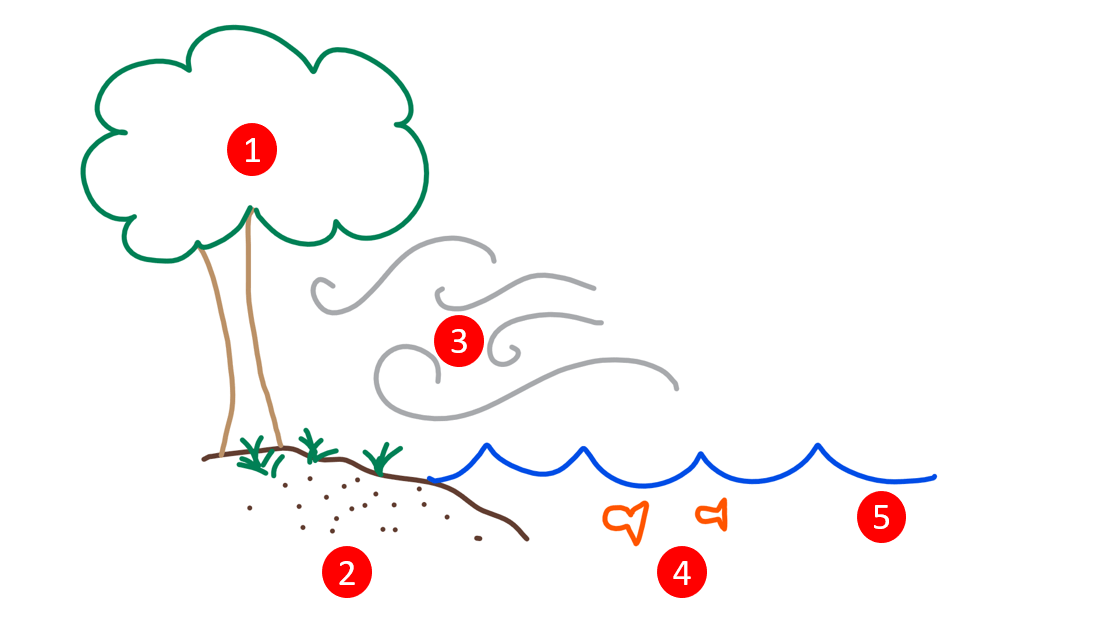 An ecosystem. 