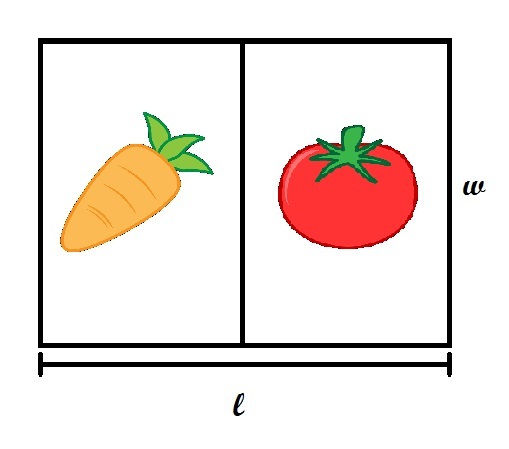 A garden of width w and length l, with carrots on the left half and tomatoes on the right.