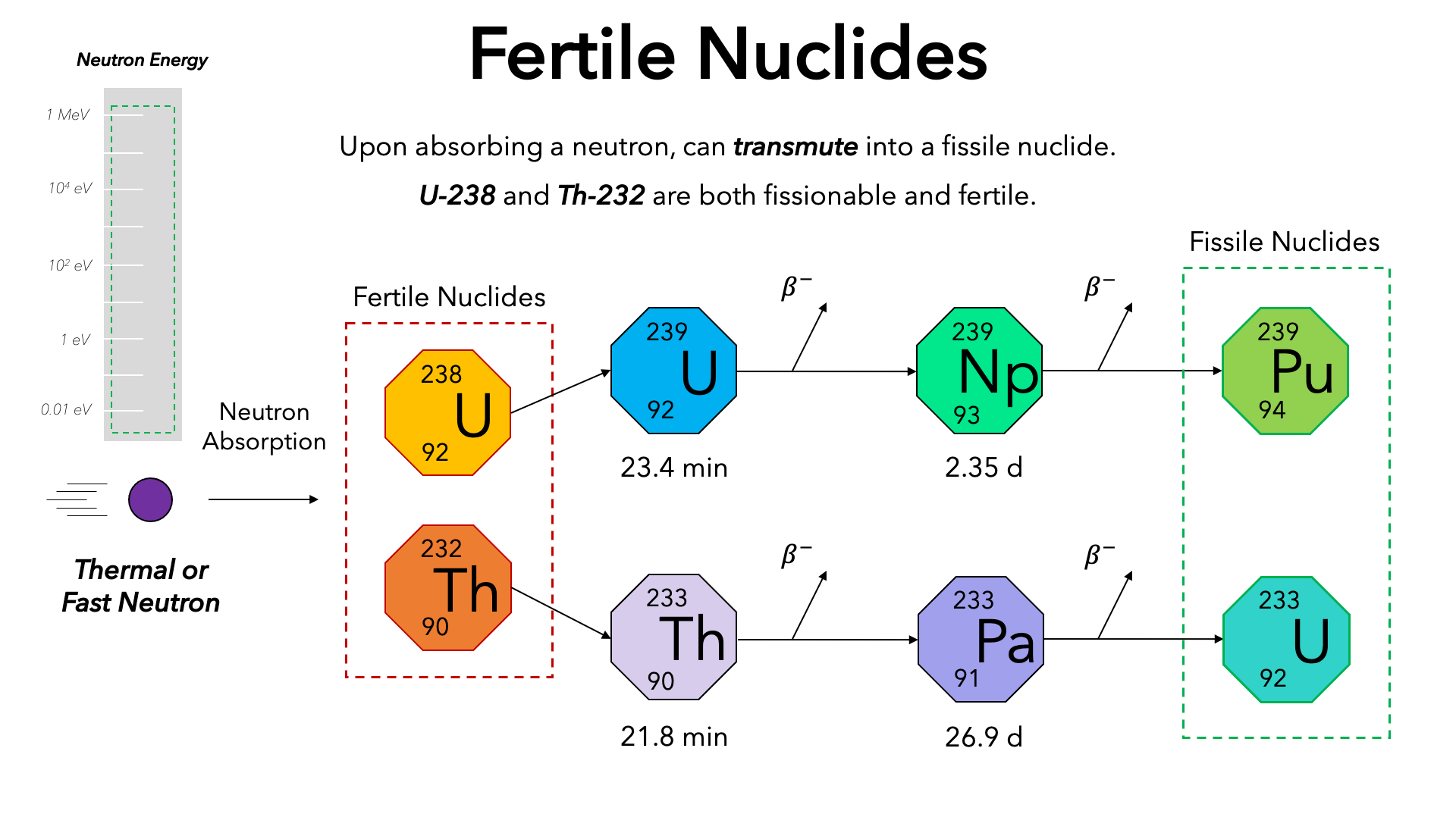 fertile nuclide visual; U-238 decay chain and Th-232 decay chain