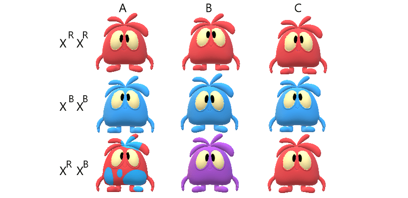 For family A, monster with the genotype XR XR is red, genotype XB XB is blue, and genotype XR XB is red with blue spots. For family B, genotype XR XR is red, genotype XB XB is blue, and genotype XR XB is purple. For family C, genotype XR XR is red, genotype XB XB is blue, and genotype XR XB is red.