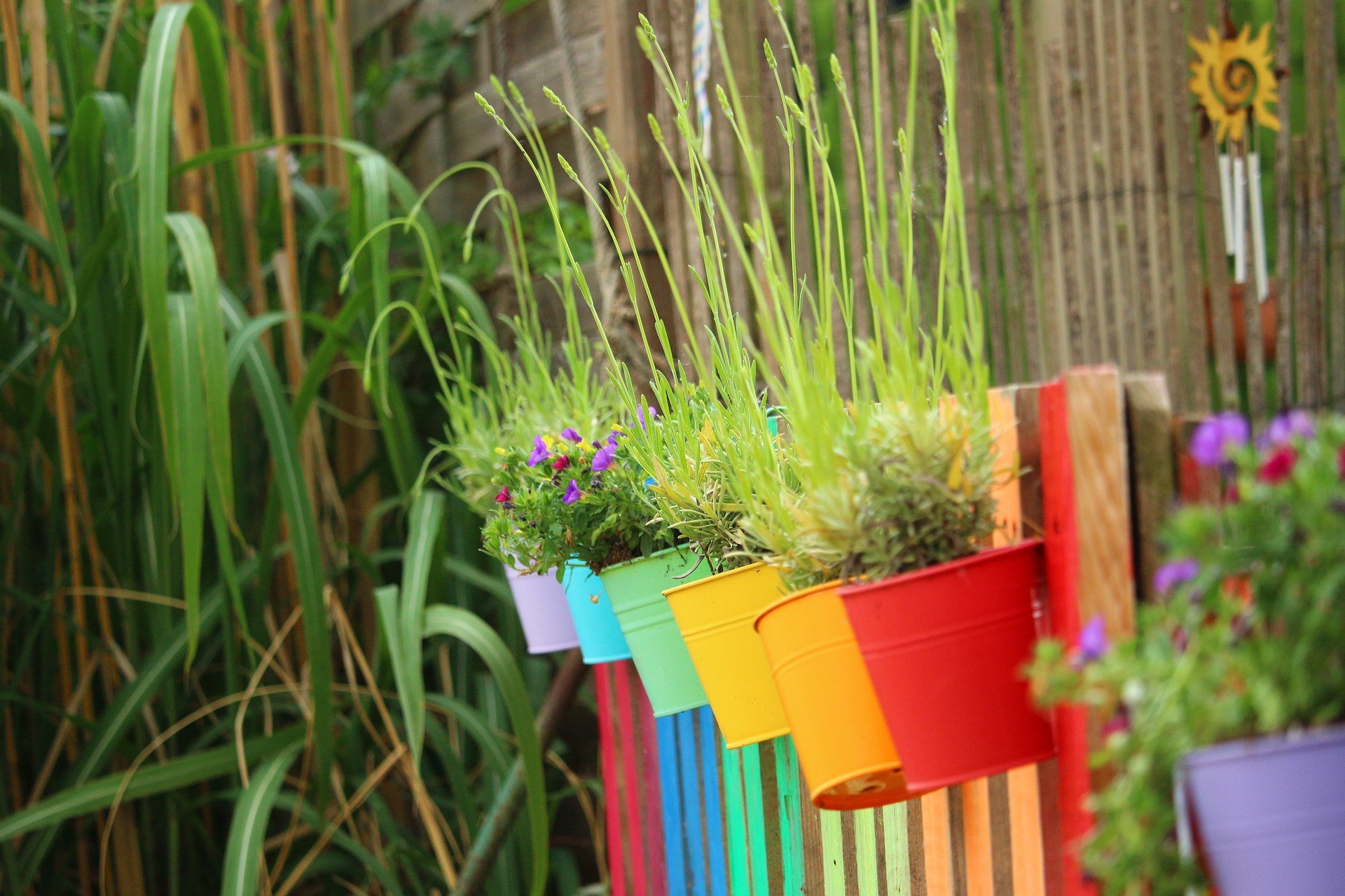 A colorful fence with colorful pots of plants hanging on it.