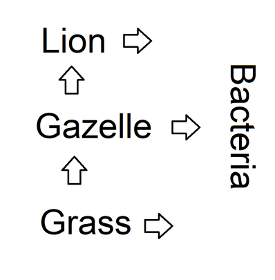 The image shows a very simplified food web. Grass is eaten by gazelles. Gazelles are eaten by grass. All three organisms can be consumed by bacteria.