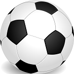 This picture shows a soccer ball.