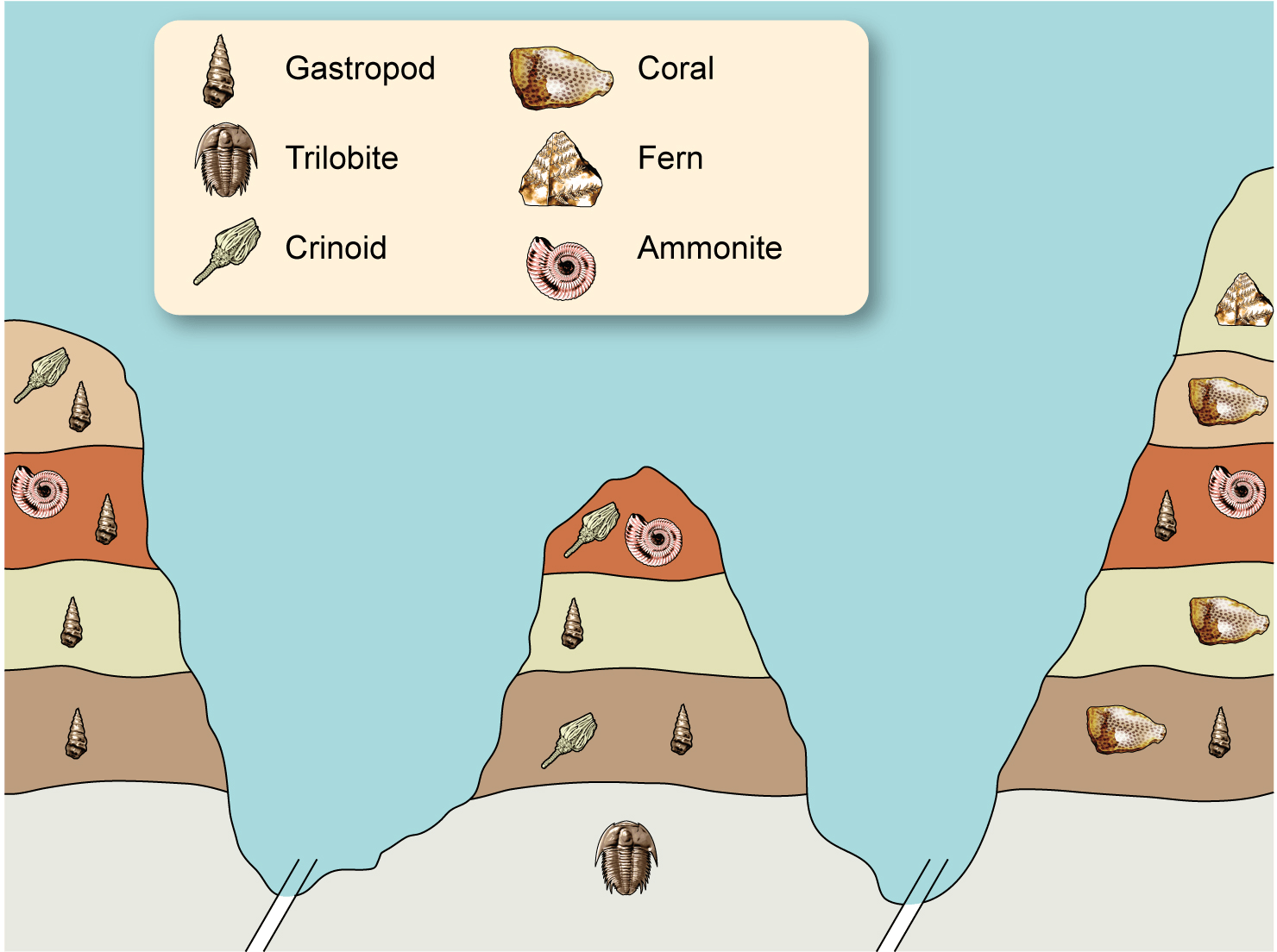 Layers of rock in the earth.