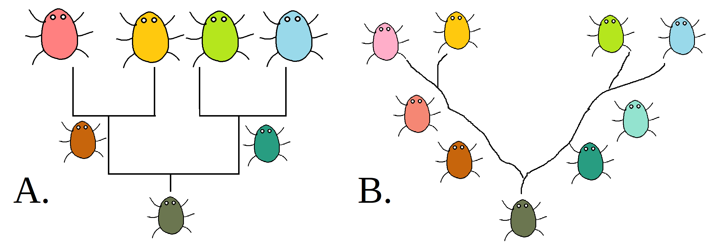 The image shows two phylogenetic trees. Tree A has a brown-green bug that abruptly splits off into orange and teal bugs, which then both abruptly split off into red and yellow bugs and then green and blue bugs, respectively. Tree B has a gradual change in color across two branching segments, from brown-green to orange and teal, to lighter orange and teal, and then to pink and yellow and green and blue, respectively. 