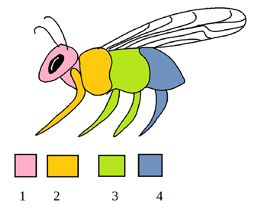 The image displays a fly with color coded segments matched to specific HOX genes. Gene 1 makes a pink head and neck. Gene 2 makes an orange first leg segment. Gene 3 makes the green middle segment and 2 legs. Gene 4 makes the purple rear segment and leg.
